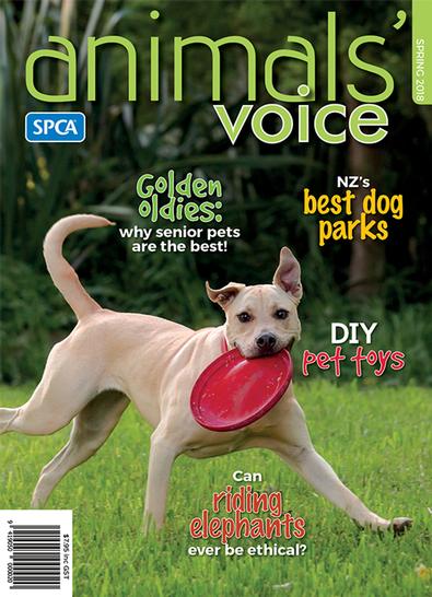 Animals' Voice Magazine Subscription - isubscribe.co.nz