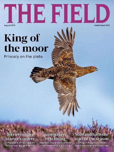 The Field digital cover